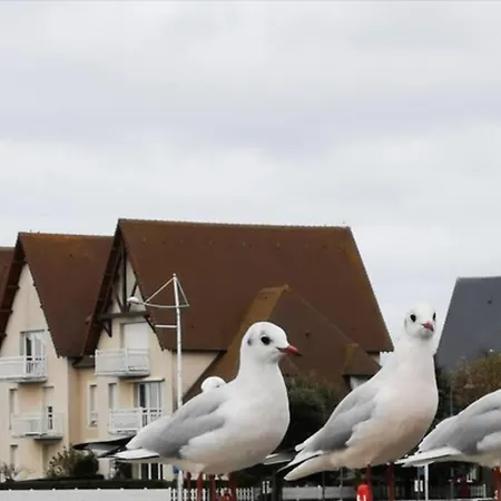 Vue 180° A 200 M De La En Normandie +parking
