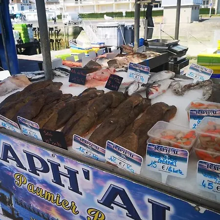 Vue 180° A 200 M De La En Normandie +parking