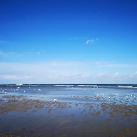 Vue 180° A 200 M De La En Normandie +parking * Courseulles-sur-Mer