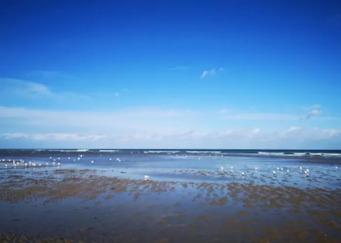 Vue 180° A 200 M De La En Normandie +parking * Courseulles-sur-Mer