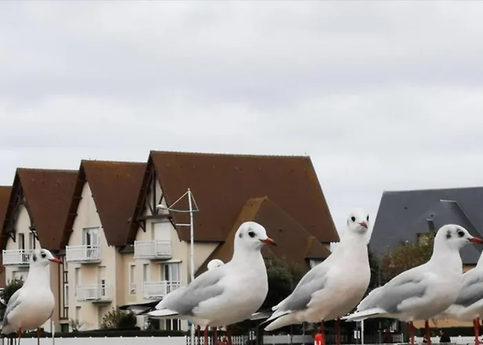 Vue 180° A 200 M De La En Normandie +parking